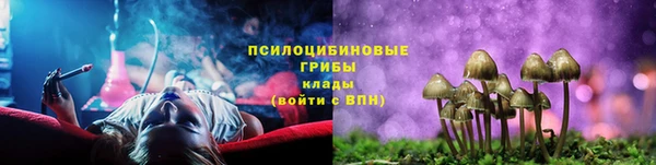 МДПВ Бугульма