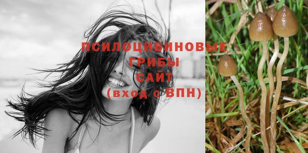 не бодяженный Бородино