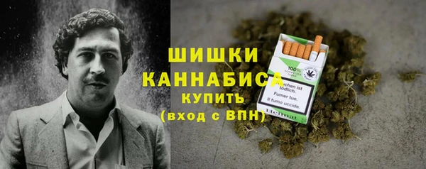 МДПВ Бугульма