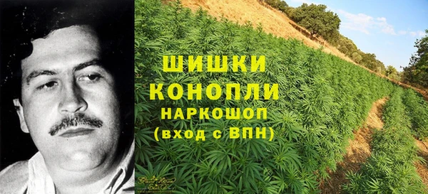 МДПВ Бугульма