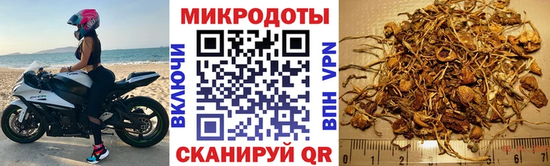 Галлюциногенные грибы Psilocybine cubensis  blacksprut   Армавир 
